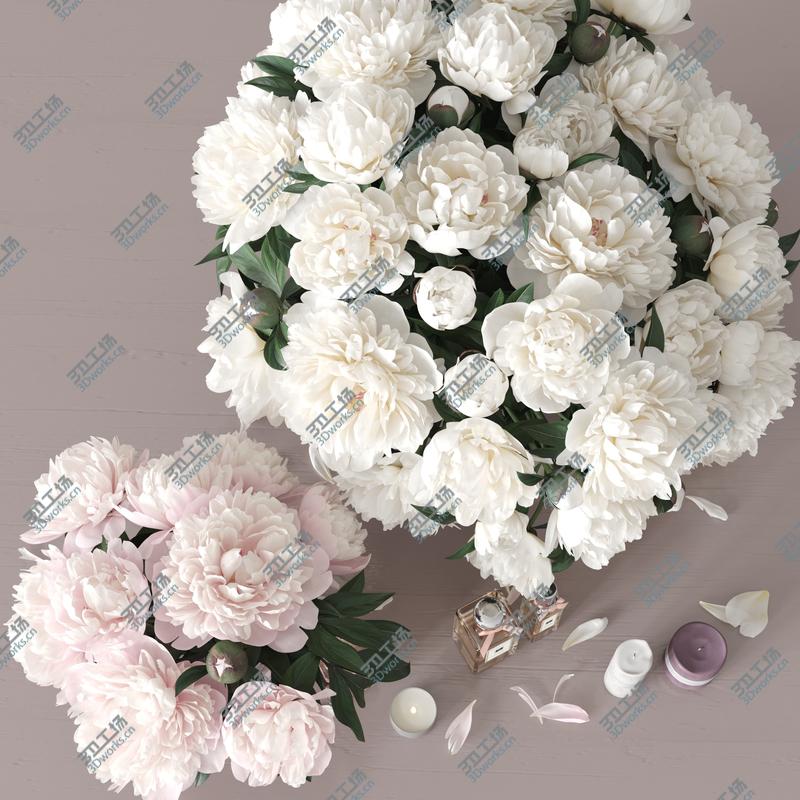 images/goods_img/2021040233/Peonies 2 3D/2.jpg